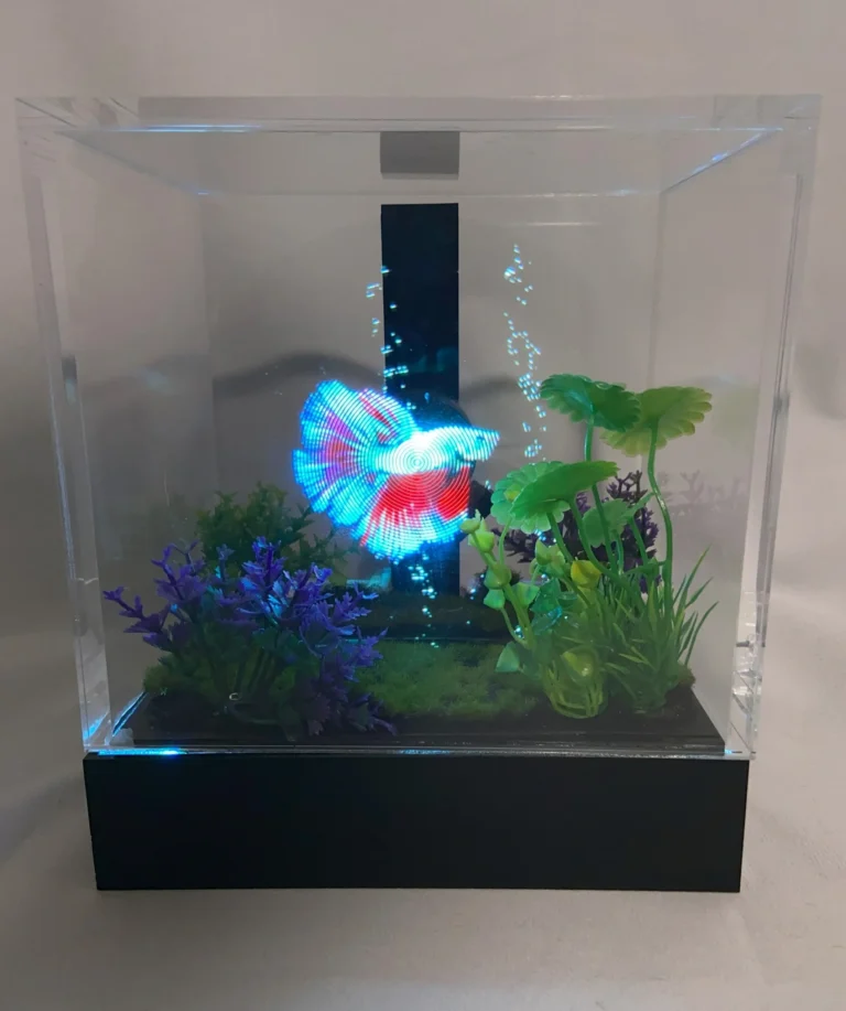 fish tank